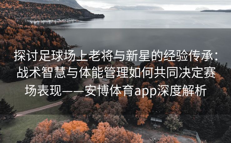 探讨足球场上老将与新星的经验传承：战术智慧与体能管理如何共同决定赛场表现——安博体育app深度解析