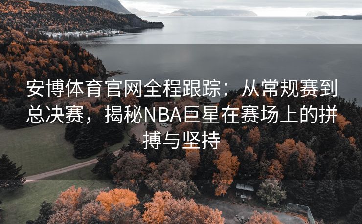 安博体育官网全程跟踪：从常规赛到总决赛，揭秘NBA巨星在赛场上的拼搏与坚持  第2张