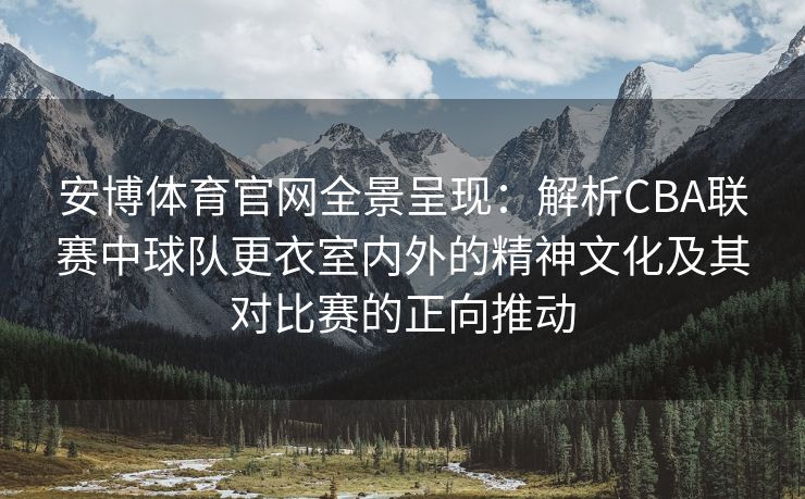 安博体育官网全景呈现：解析CBA联赛中球队更衣室内外的精神文化及其对比赛的正向推动  第2张