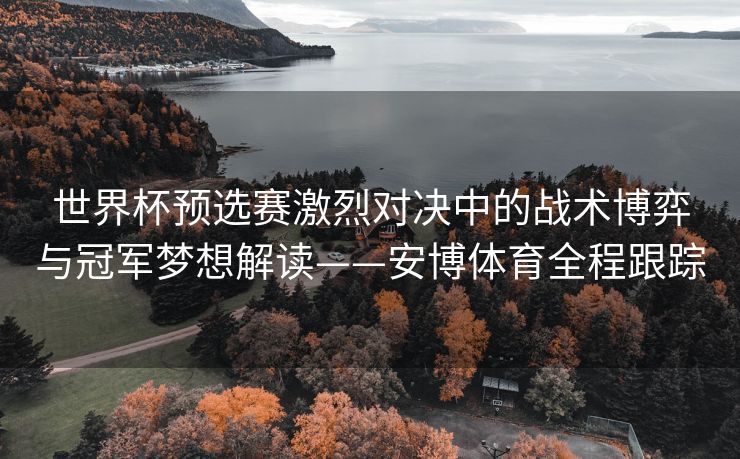 世界杯预选赛激烈对决中的战术博弈与冠军梦想解读——安博体育全程跟踪  第2张