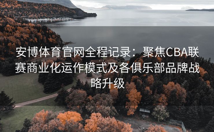 安博体育官网全程记录：聚焦CBA联赛商业化运作模式及各俱乐部品牌战略升级  第2张